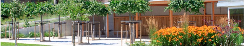 Mantenimiento de jardines